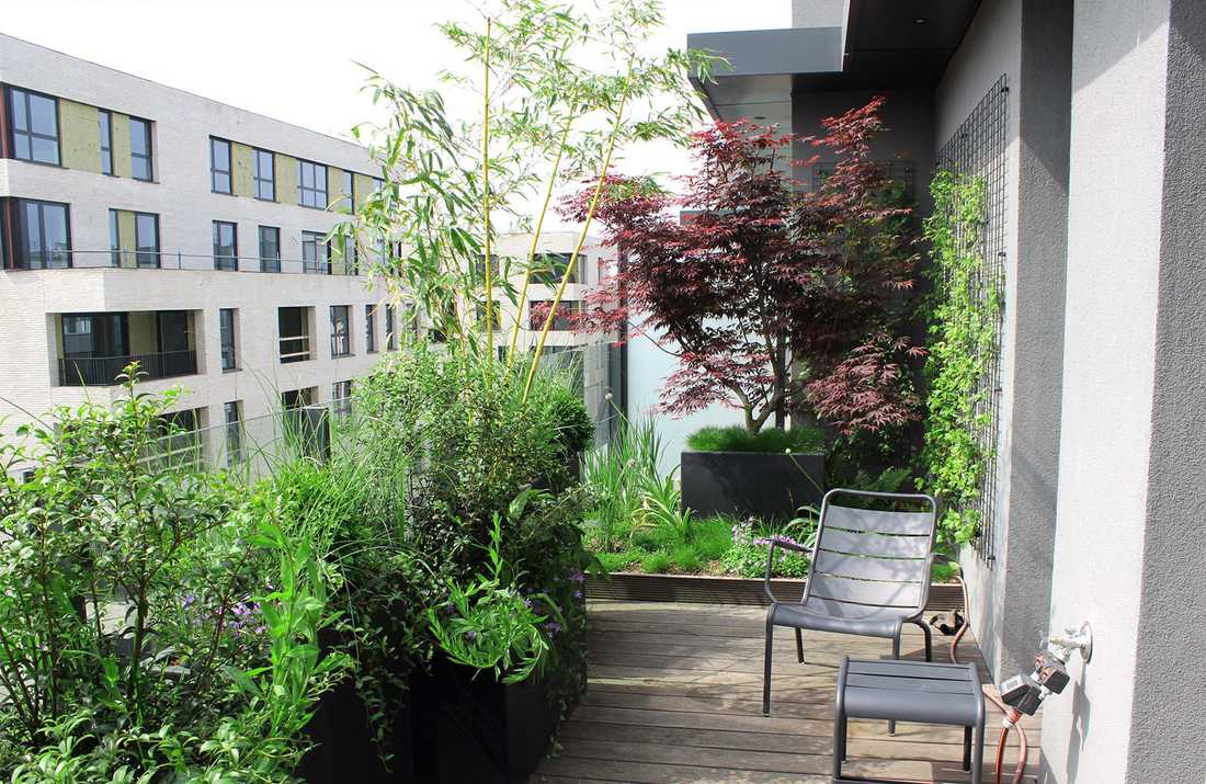 Aménagement paysager de la terrasse d'un penthouse à Bruxelles