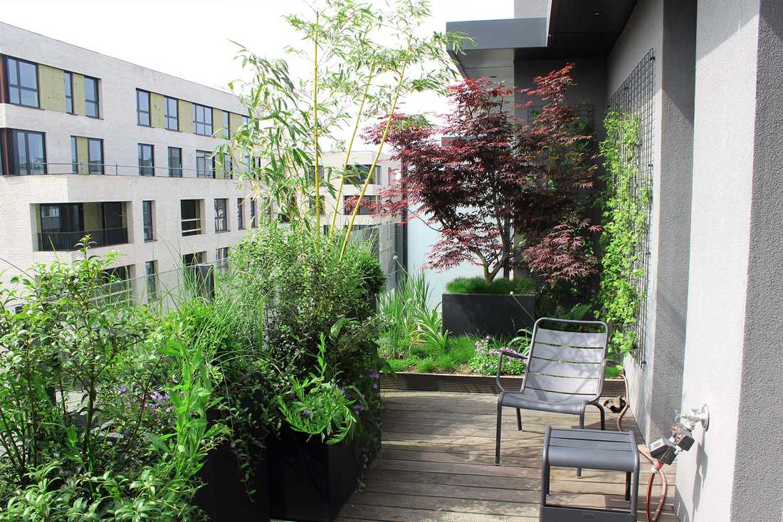 Landscaping of a penthouse terrace in Brussels